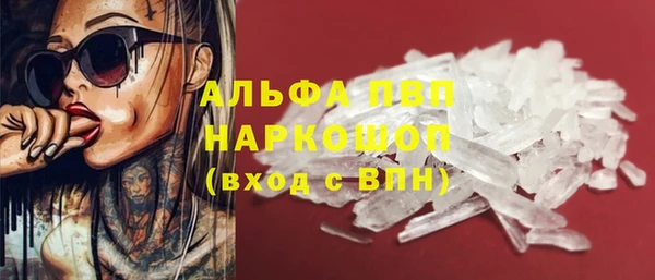 ECSTASY Алзамай