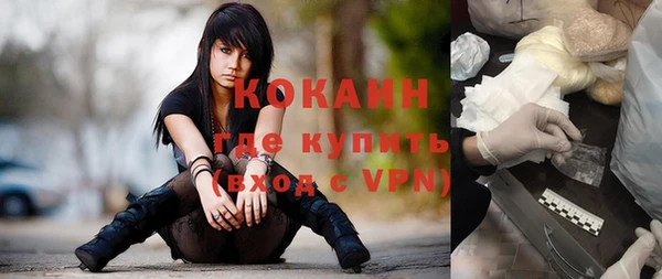 ECSTASY Алзамай