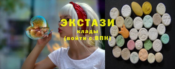 ECSTASY Алзамай