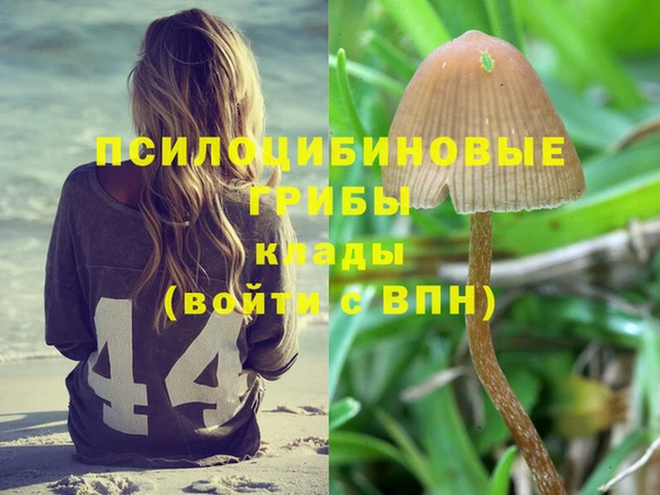 стаф Алексеевка
