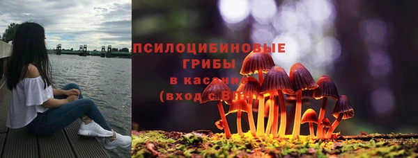 стаф Алексеевка