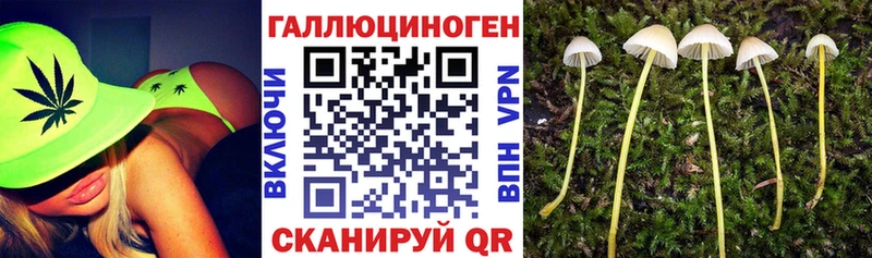 MEGA ТОР  Богучар  Псилоцибиновые грибы MAGIC MUSHROOMS  дарнет шоп 